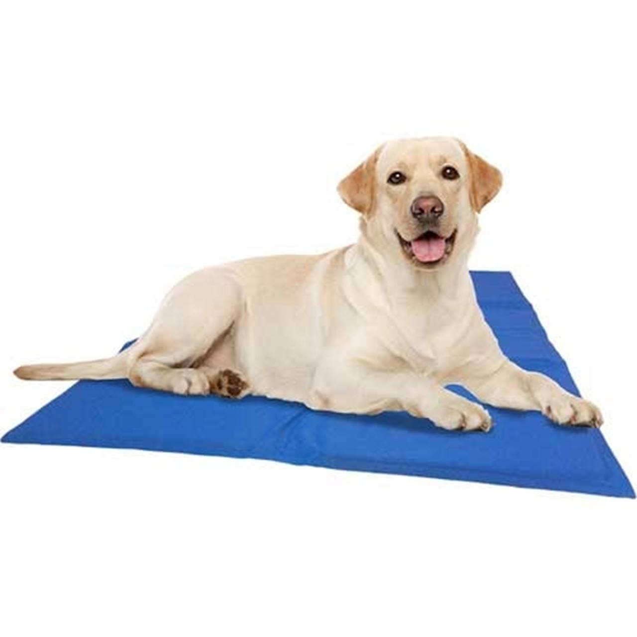 Quapas! Honden Koelmat