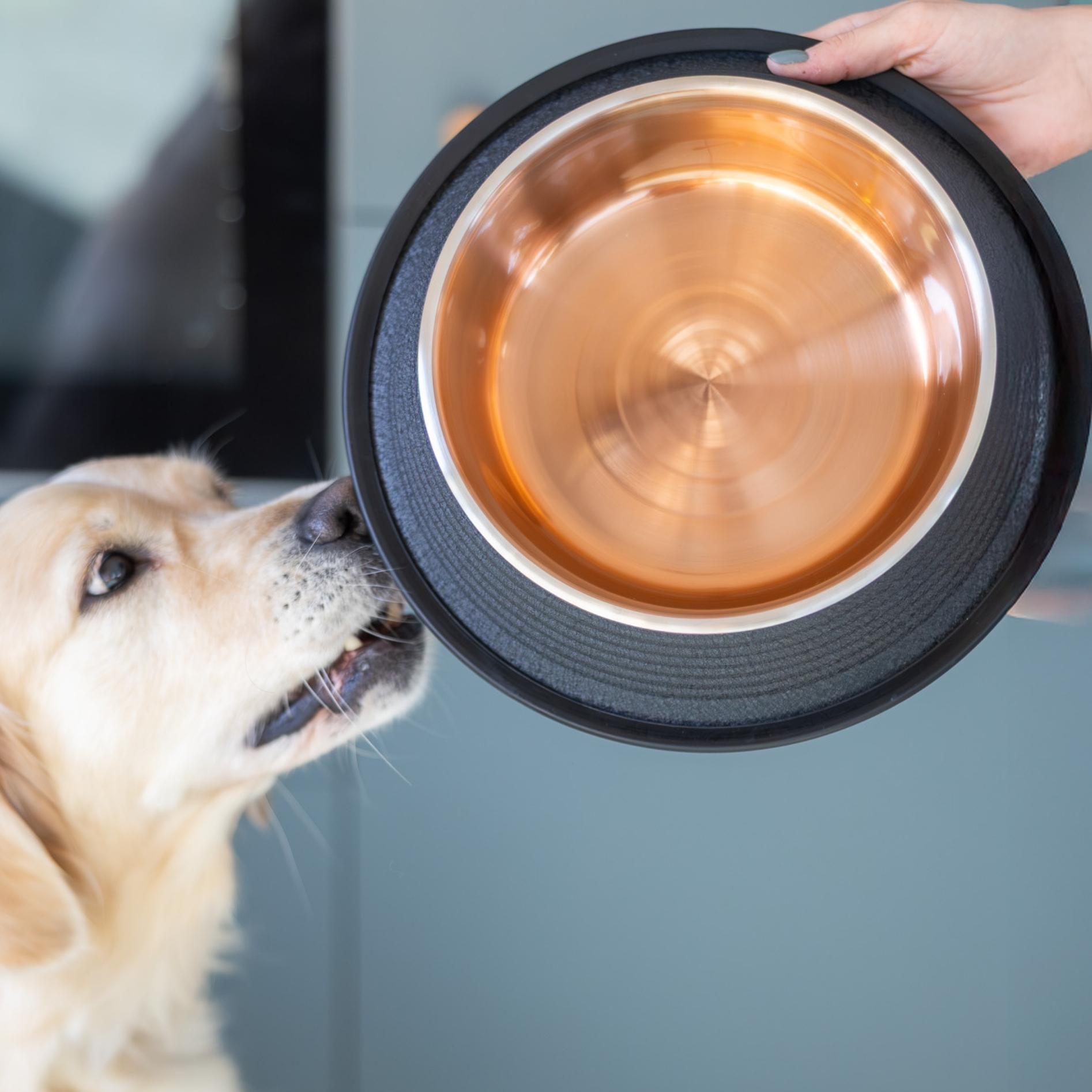 Quapas! Voerbak Leer Antislip Zwart Koper