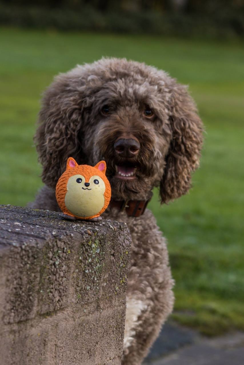 Quapas! Hondenspeelgoed Fun Leuke vos