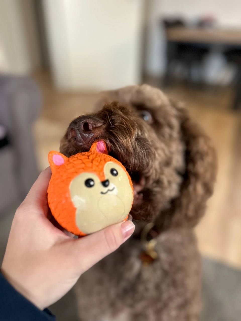 Quapas! Hondenspeelgoed Fun Leuke vos