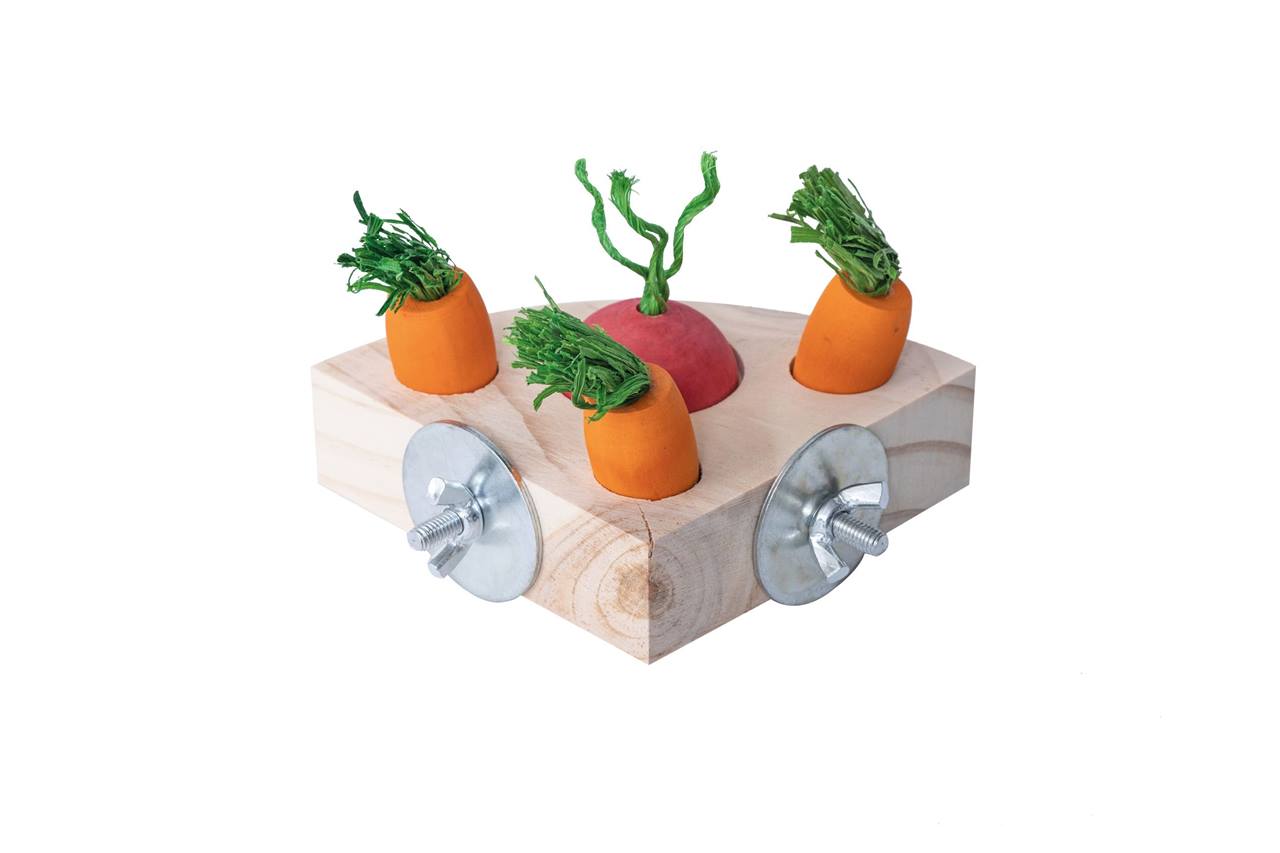 Quapas! Groenten snack puzzel driehoek