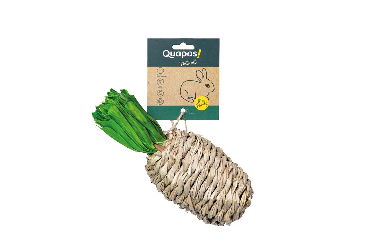 Quapas! Hibiscus gevlochten pineaplle L