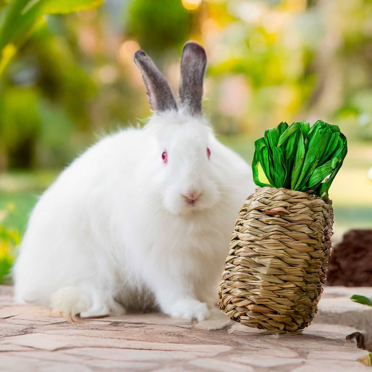 Quapas! Hibiscus gevlochten pineaplle L