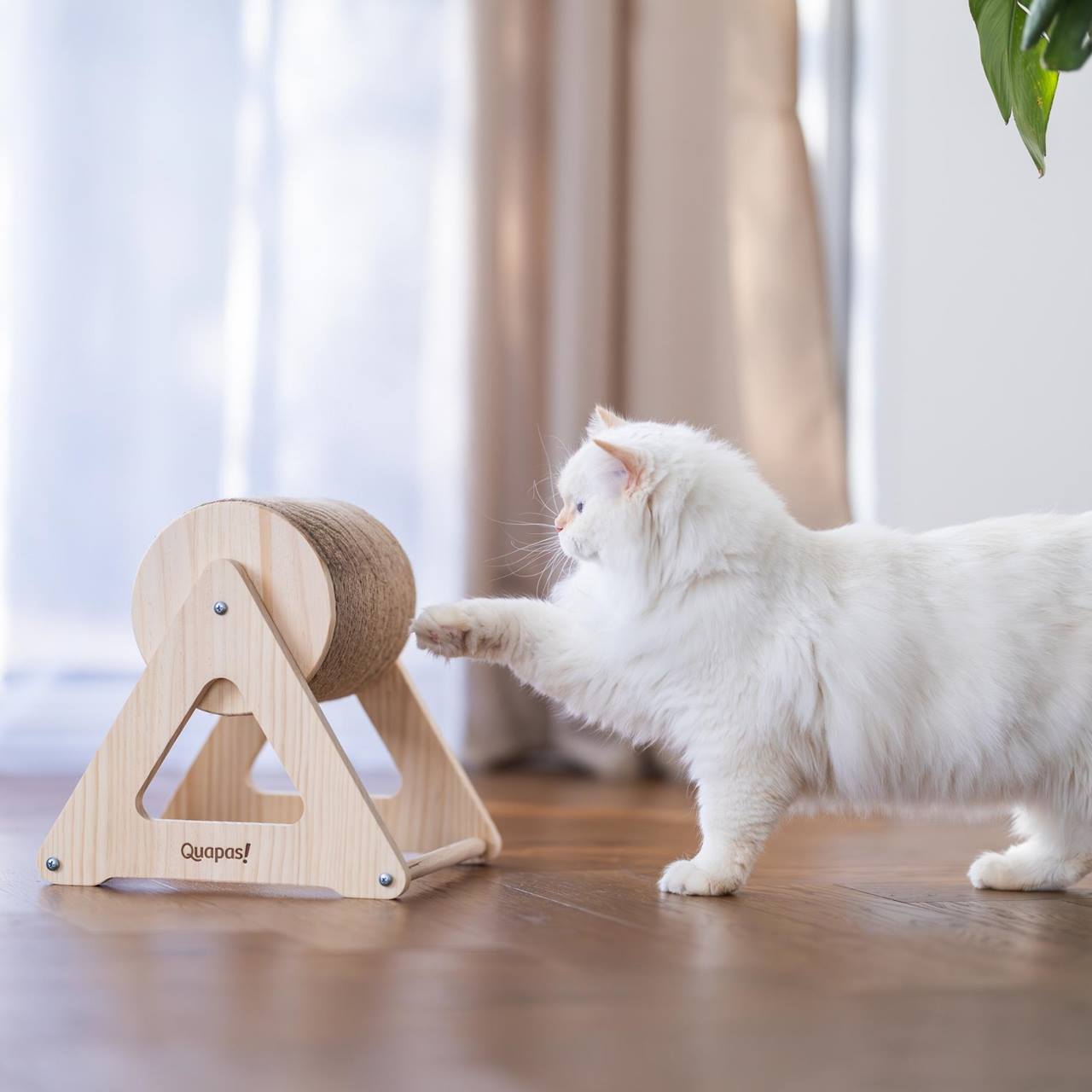 Quapas! Krabcilinder