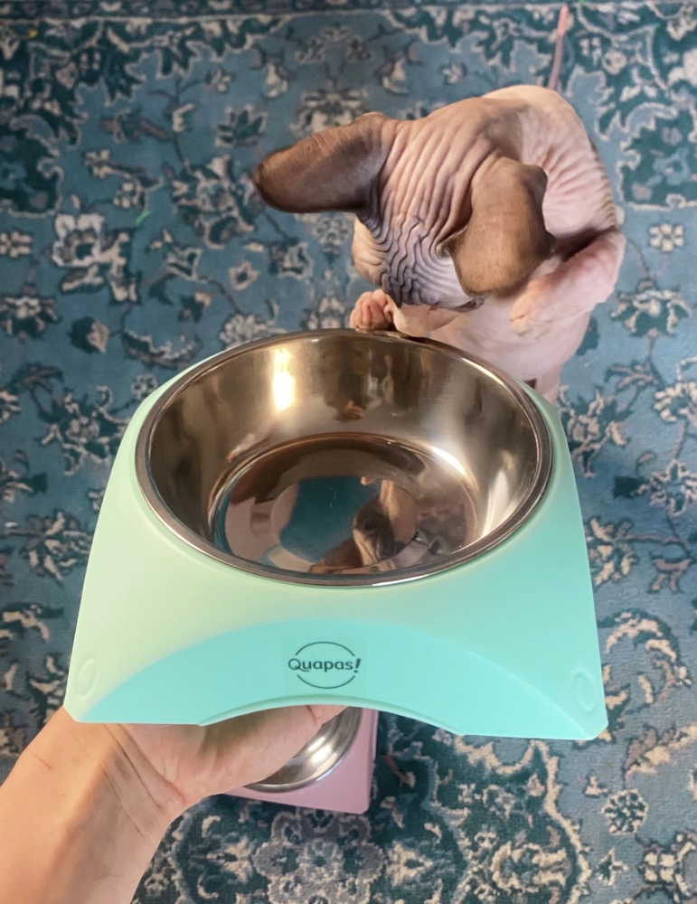 Quapas! Voerbak mintgroen