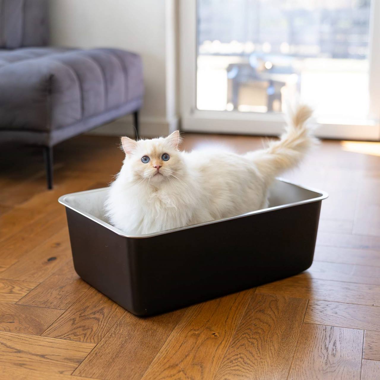 Quapas! Kattenbak RVS Zwart