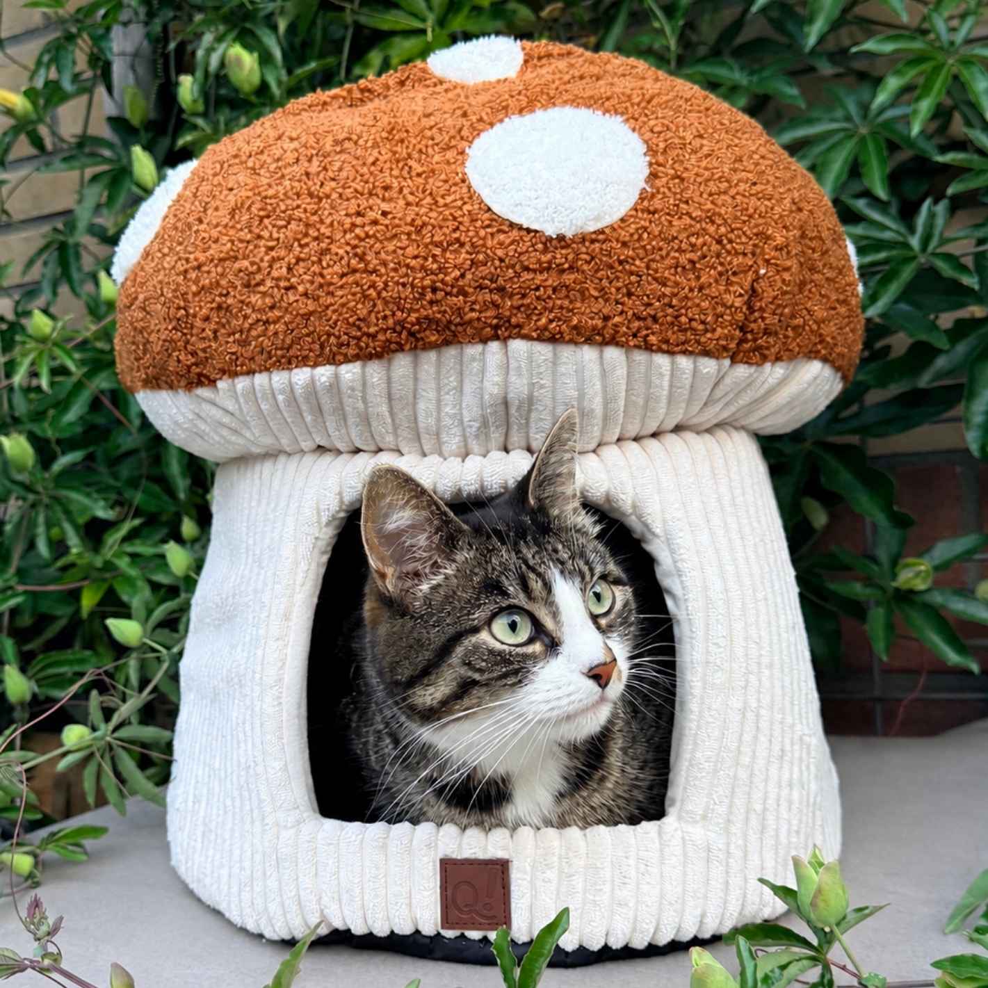 Quapas! Cat bed Mushroom