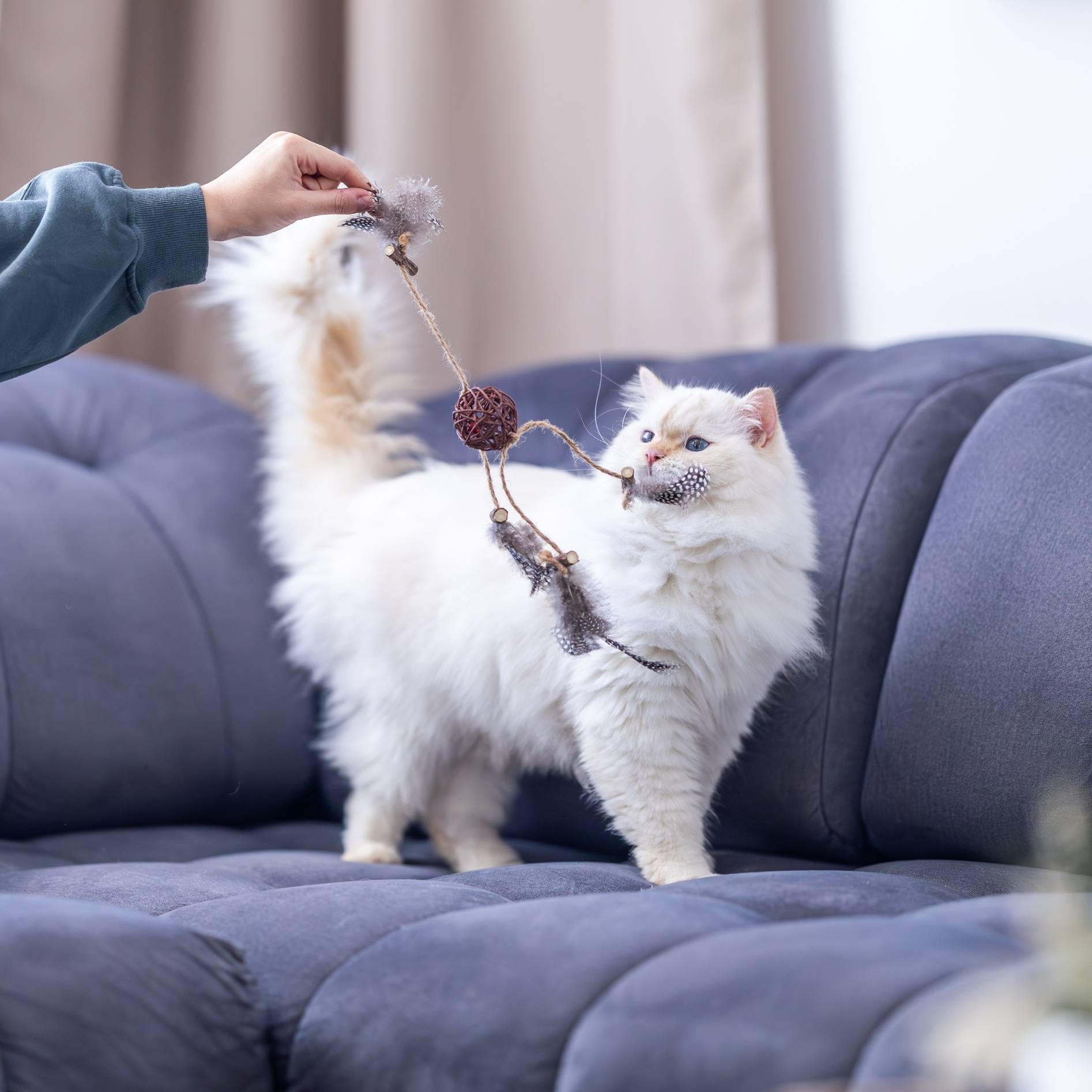 Quapas! Kattenspeeltje Rotan bal met veren B
