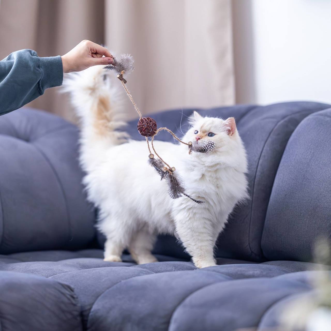 Quapas! Kattenspeeltje Rotan bal met veren B