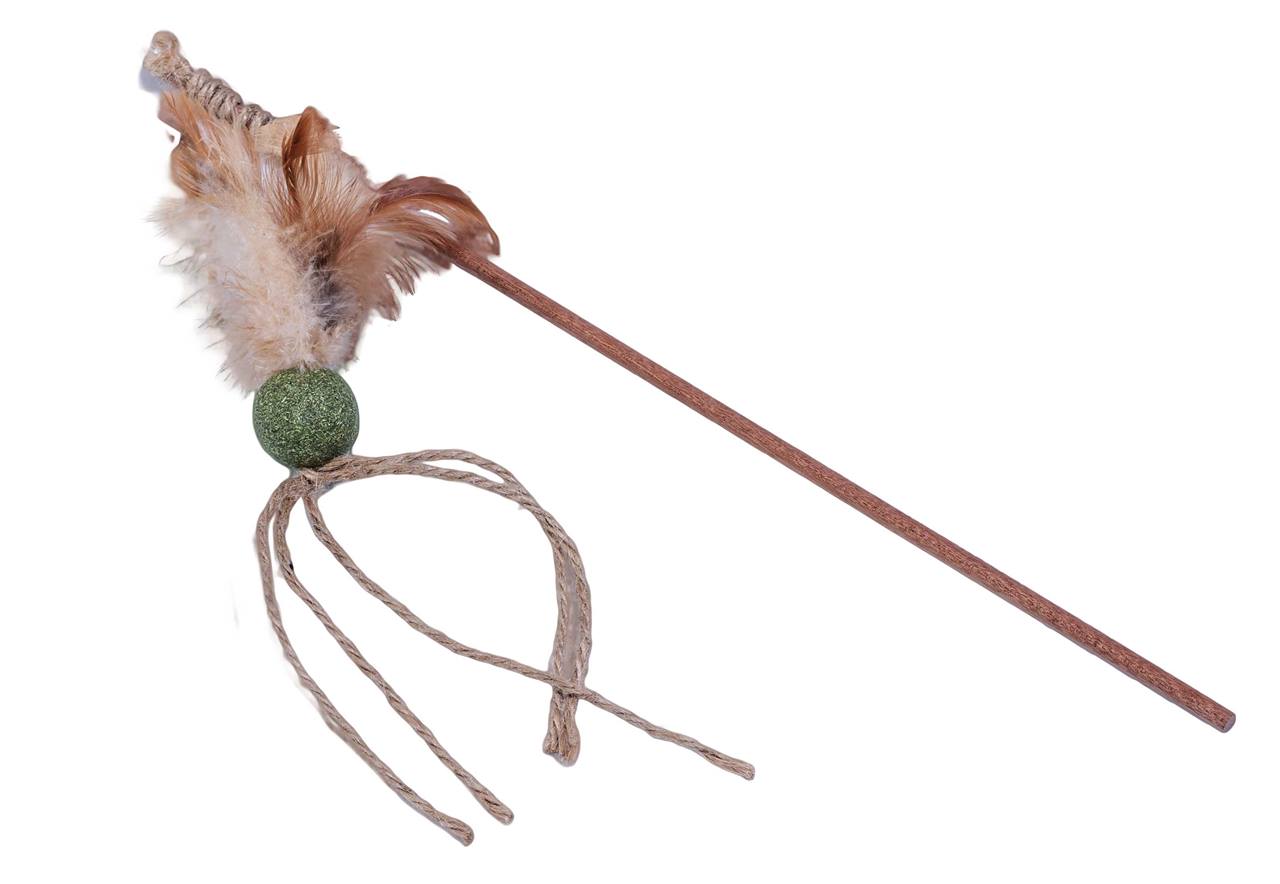 Quapas! Kattenspeeltje vissen natuur A