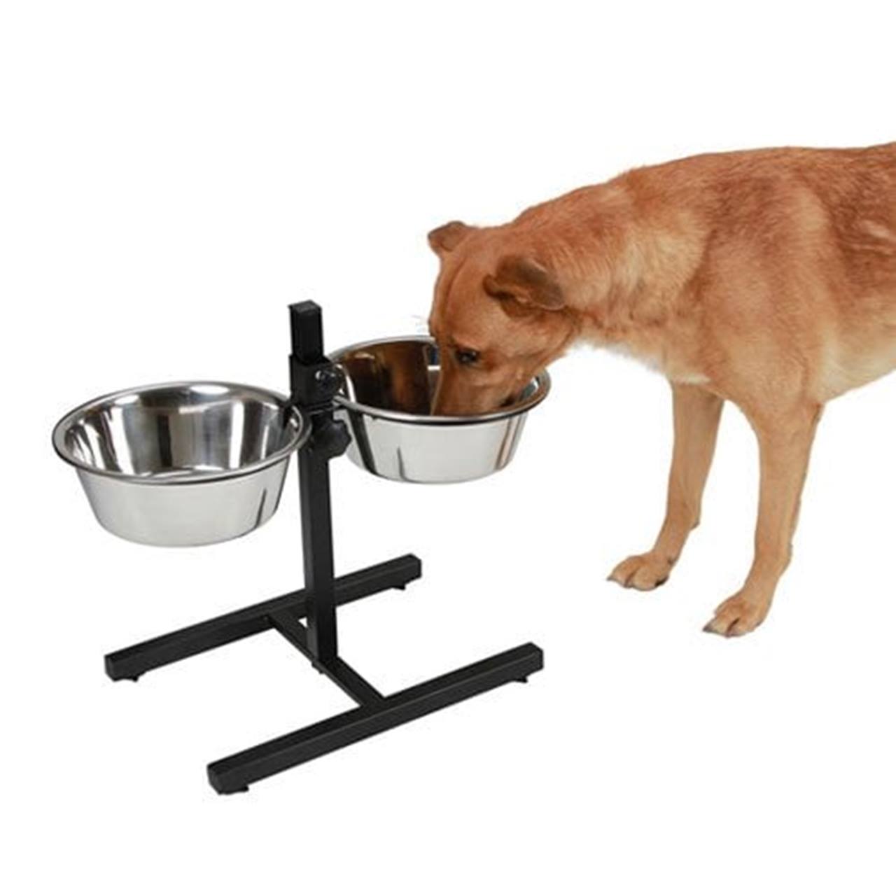 Quapas! H-Standaard Zwart