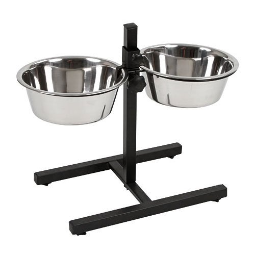 Quapas! H-Standaard Zwart