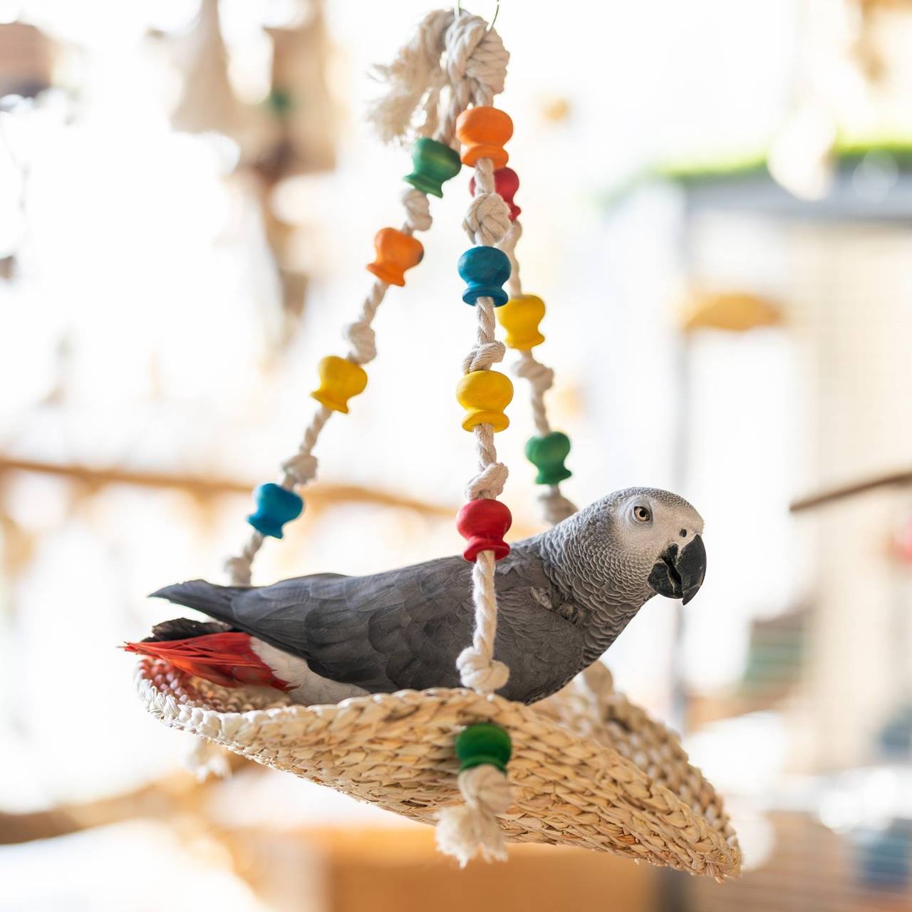 Quapas! Vogel speelgoed Cereal