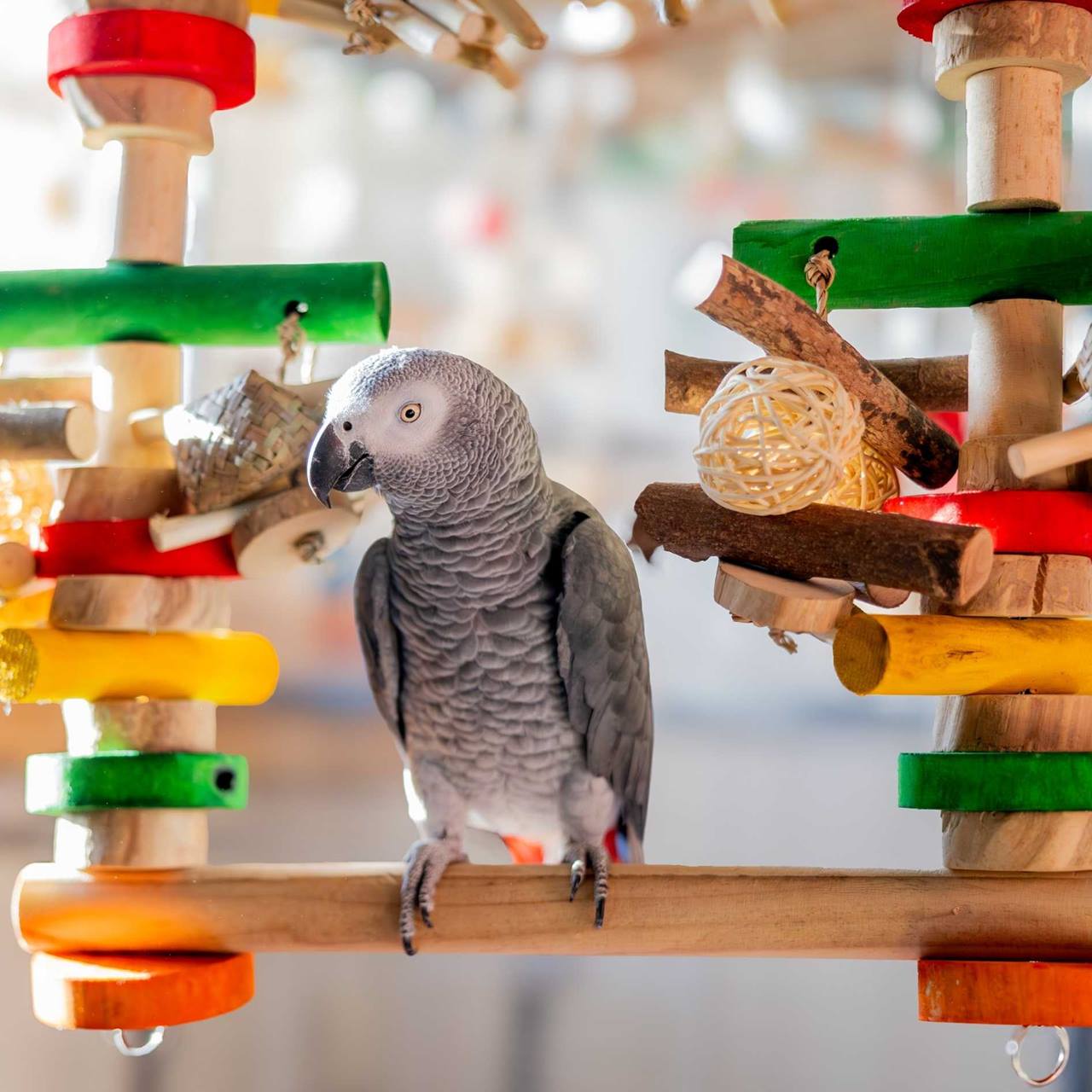 Quapas! Vogel speelgoed Fun Swing L