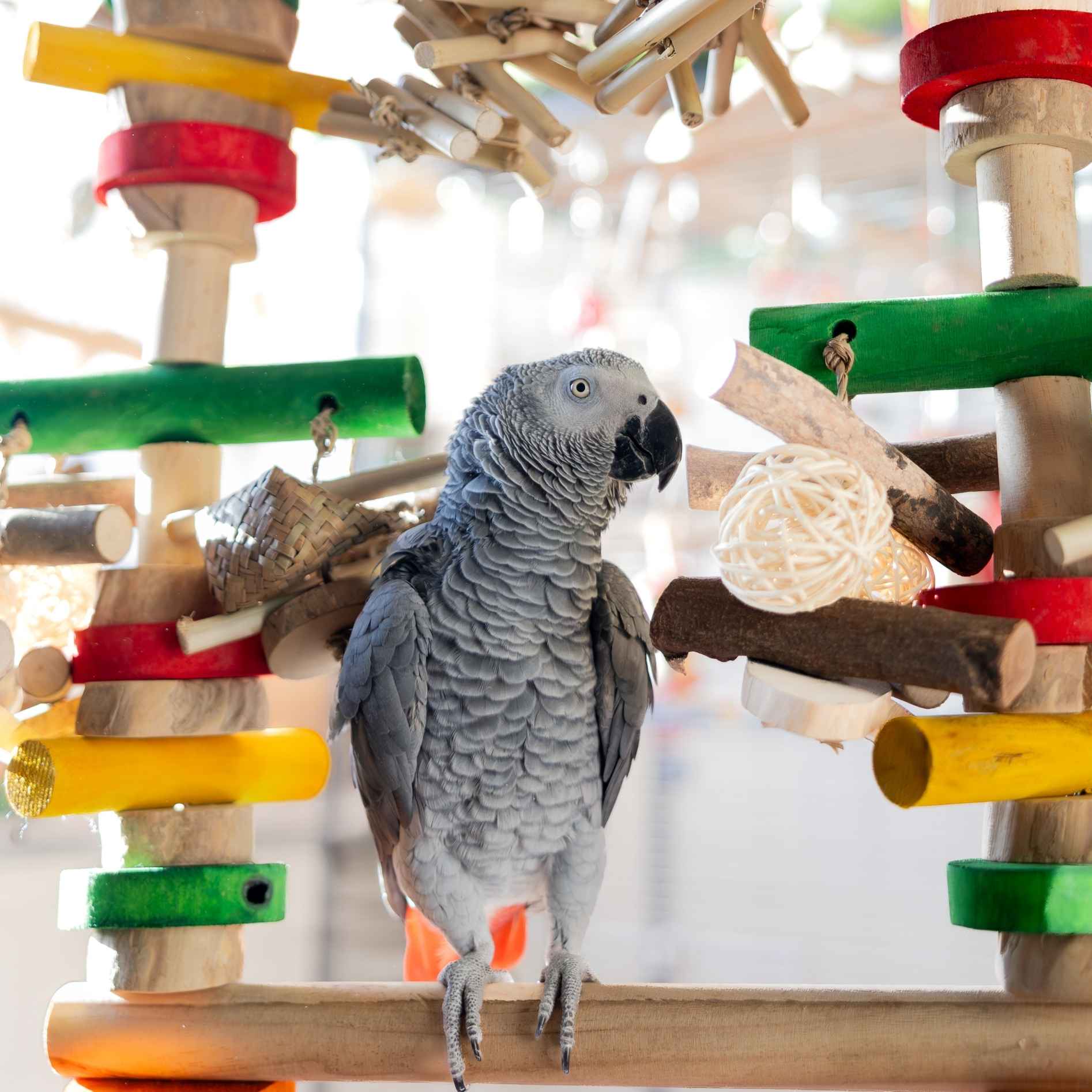 Quapas! Vogel speelgoed Fun Swing L