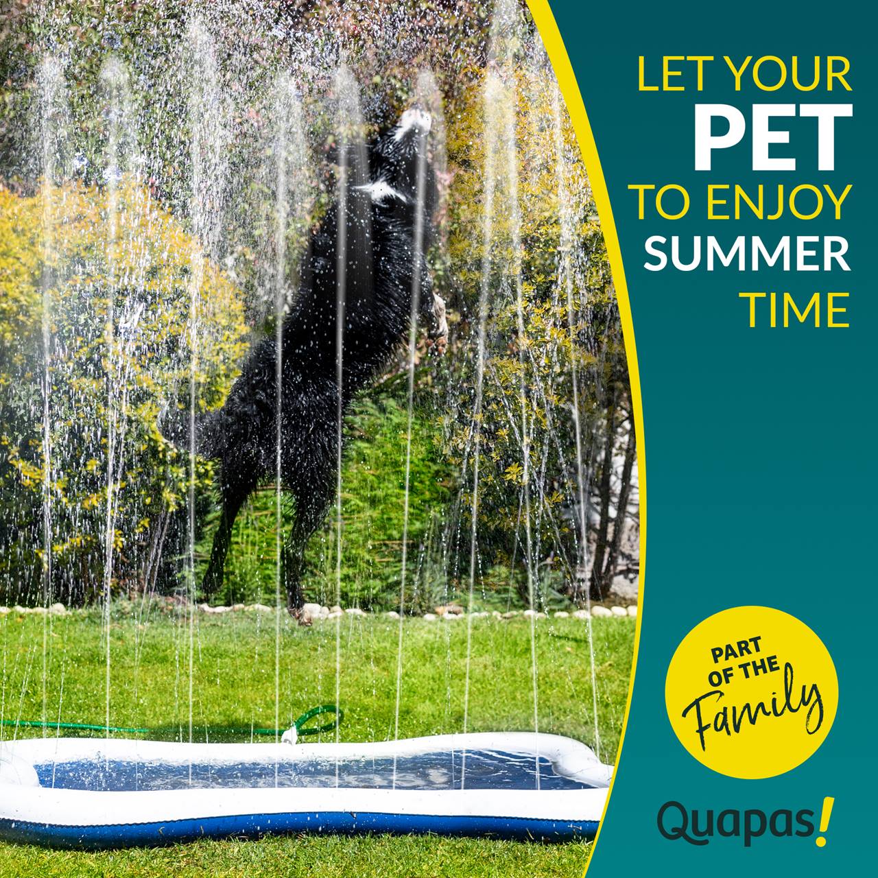 Quapas! Honden waterfontein mat