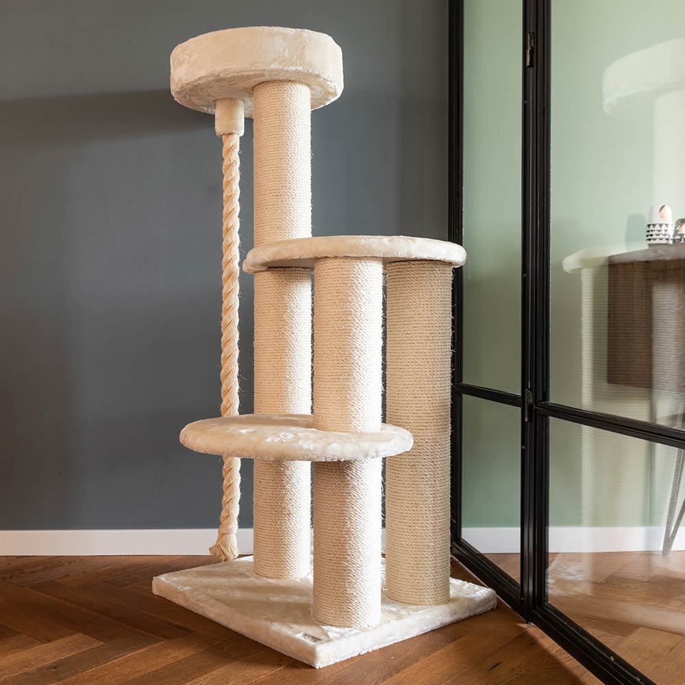 Quapas! Sturdy crème