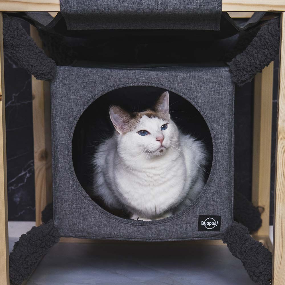 Quapas! Catcube met hangmat M Grijs