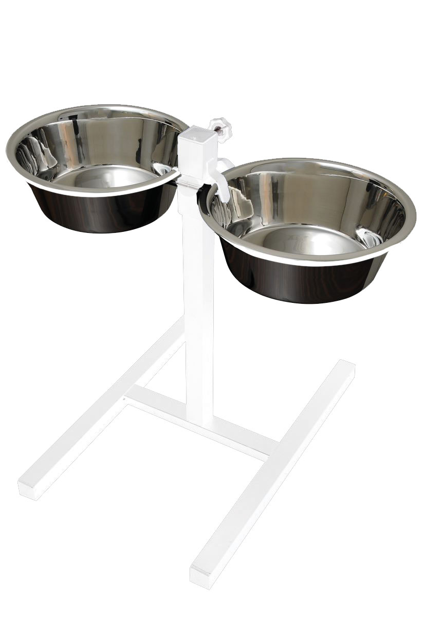 Quapas! H-Standaard Wit