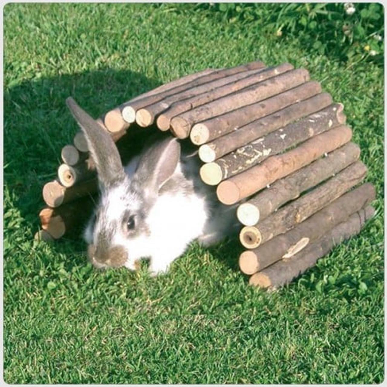 Quapas! Houten Brug S