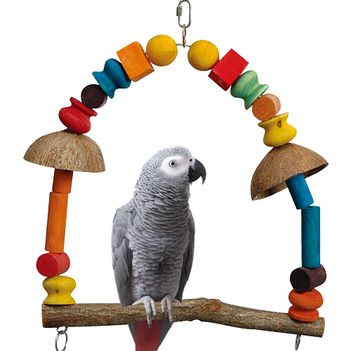 Quapas! Vogel speelgoed Arcade