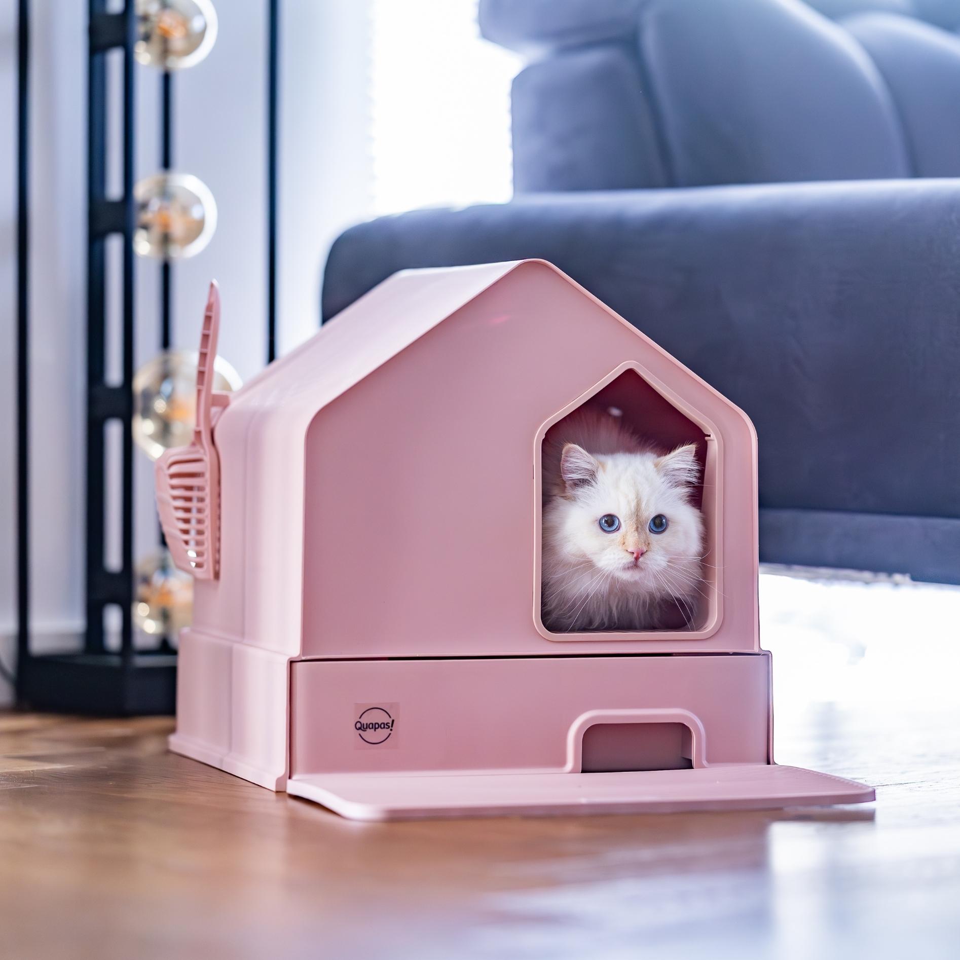 Kattenbakken