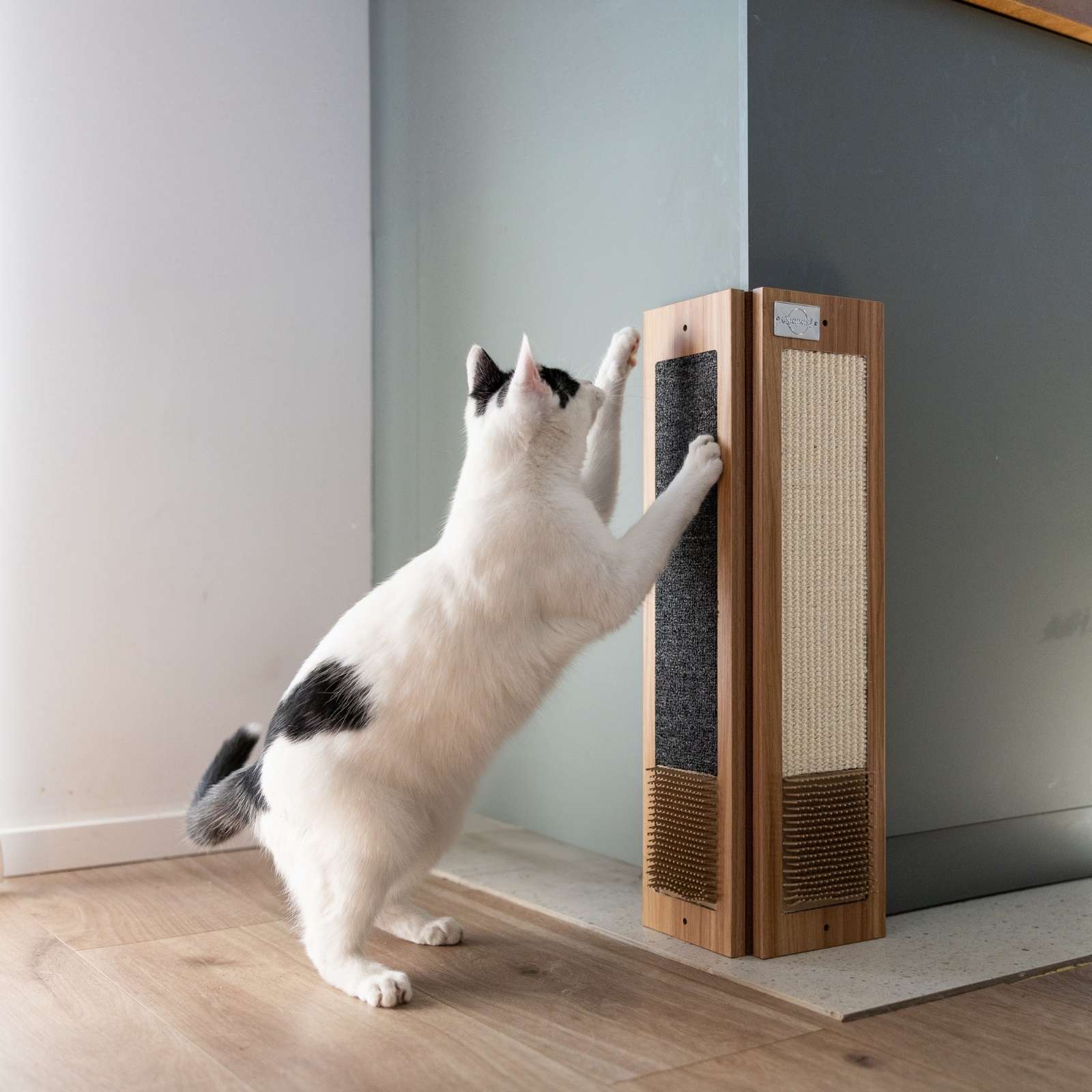 Scratch & Stretch
