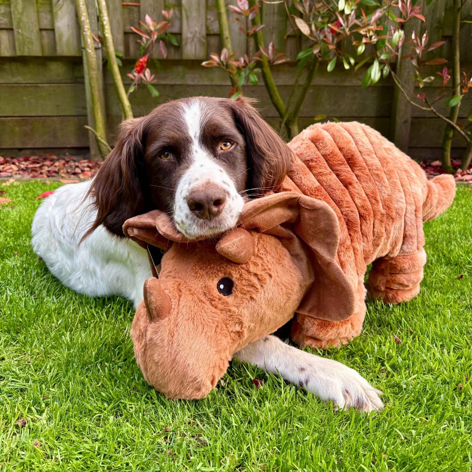 Plushies