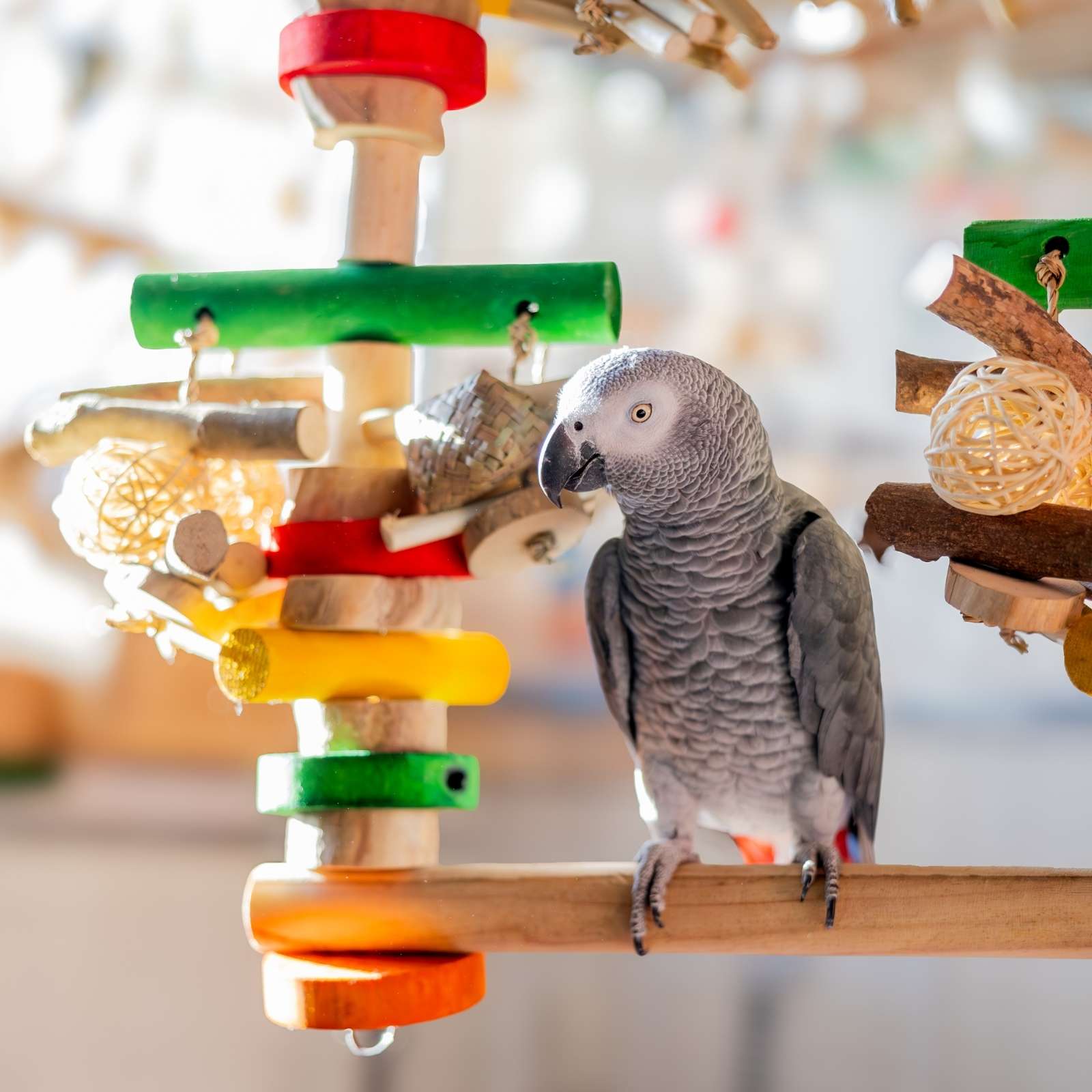 Vogelspeelgoed