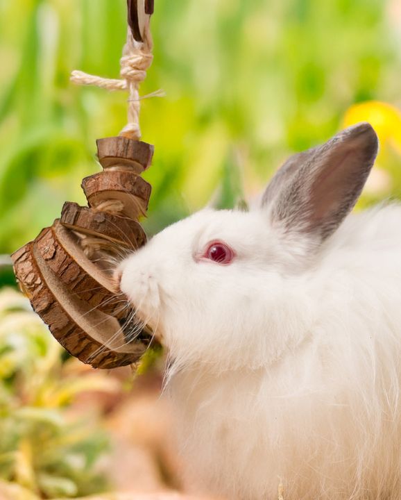 Rustic Play